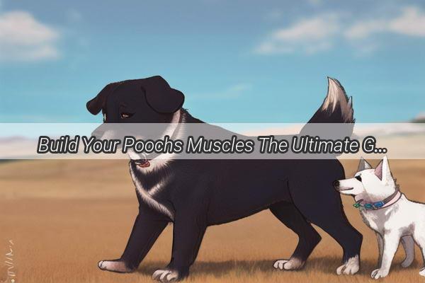 Build Your Poochs Muscles The Ultimate Guide to the Best Foods for Dog Strength